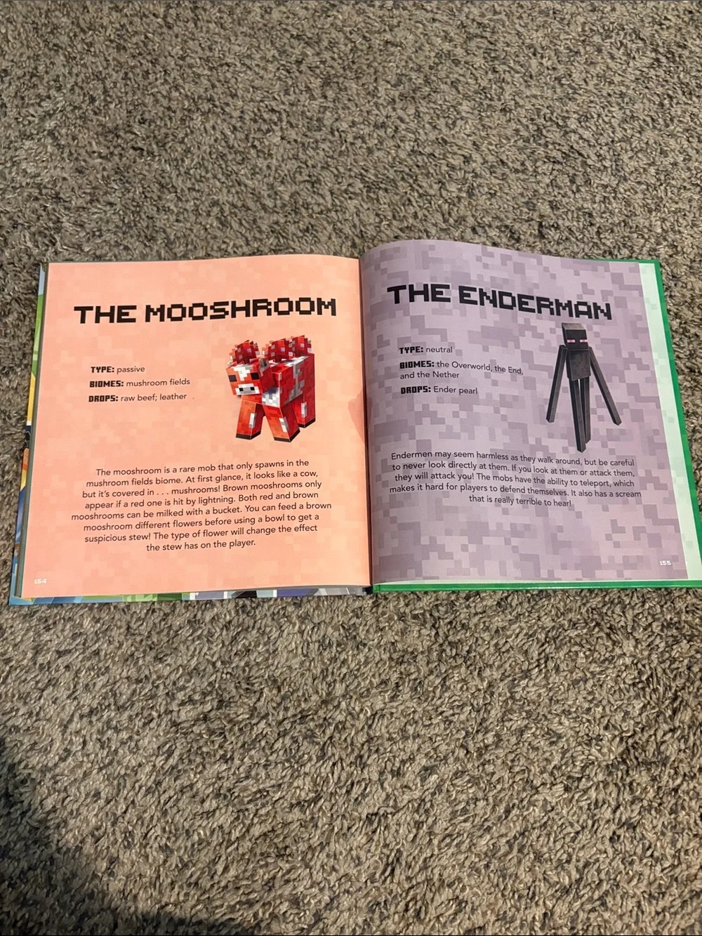 Minecraft storybook collection